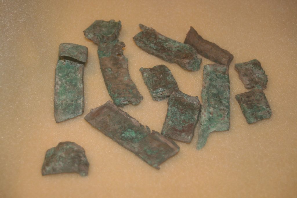 11 long skinny rectangular pieces of copper chisel pieces called chip that have a bit of green tarnish on them