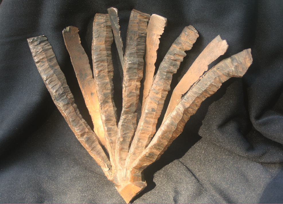 fan-shaped copper chisel chips all joined together at base